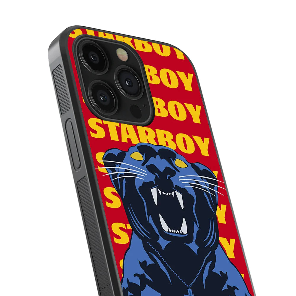 Nirvana Spotify & StarBoy Glass Phone Case Combo