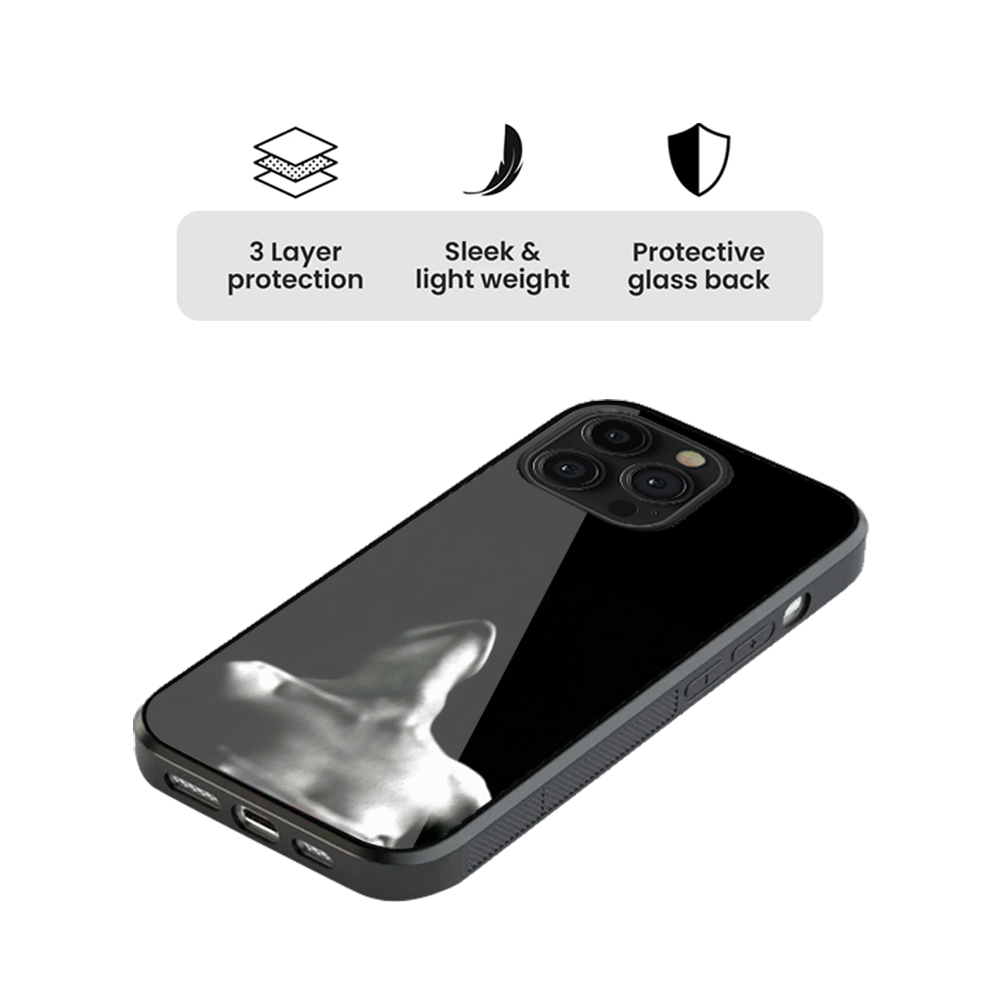 Cas I. Spotify Glass Phone Case